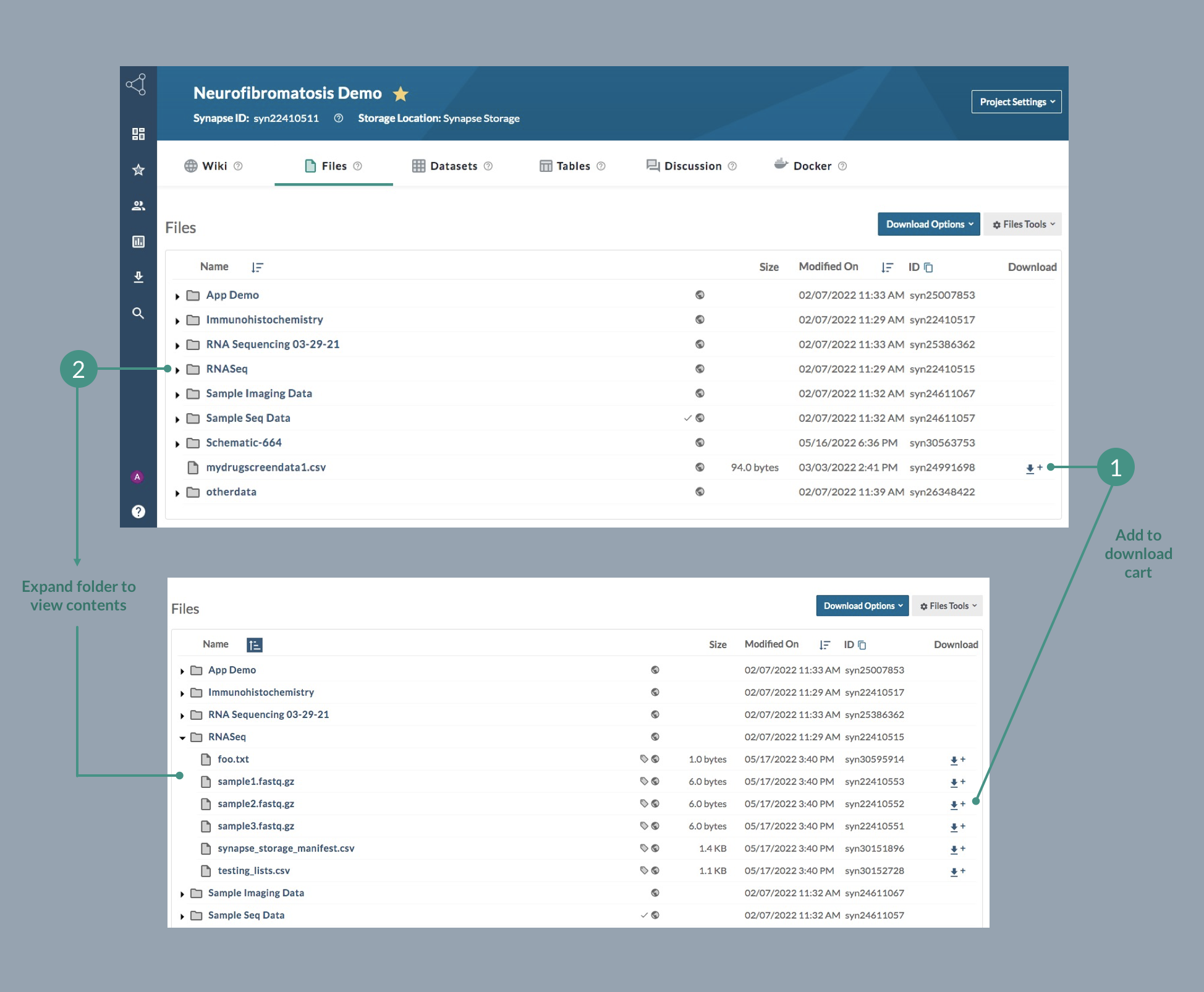 Downloading Data From the Synapse UI