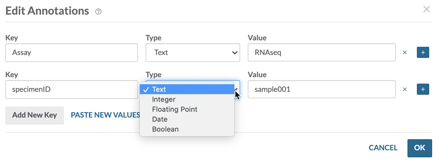 Synapse X Failed to Download UI Files: How to Fix It